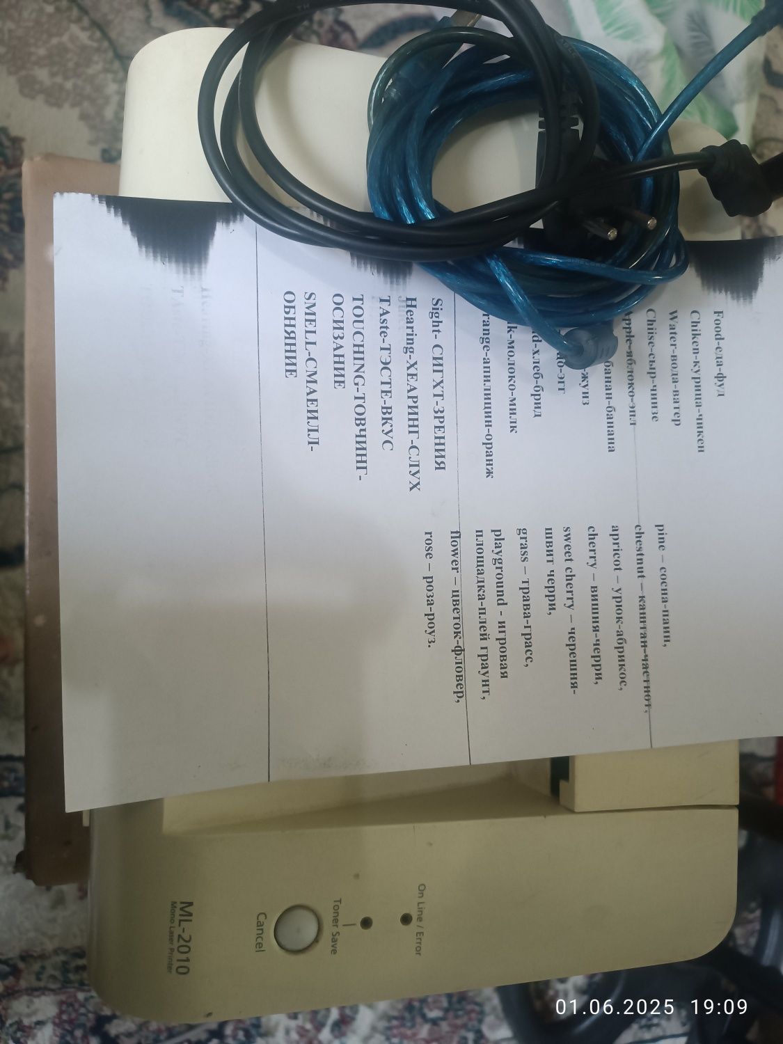 Принтер samsung ML2010 Lazer
