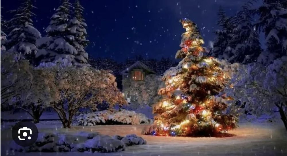 Хорошего качества елки