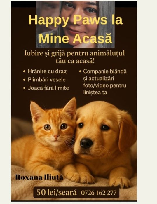 Petsitter dedicat – atenție, grijă și poze în timp real
