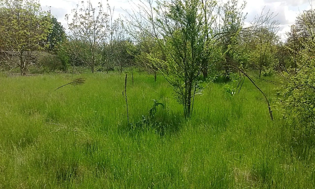 Продавам къща с двор в с. Калина, общ. Ген. Тошево