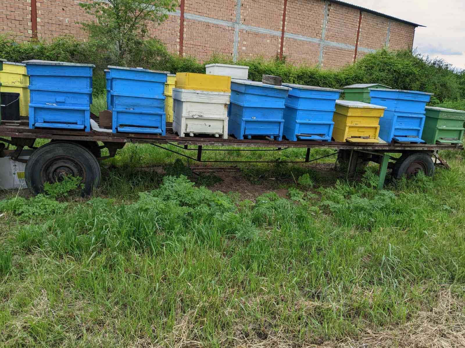 Пчелни кошери и платформа