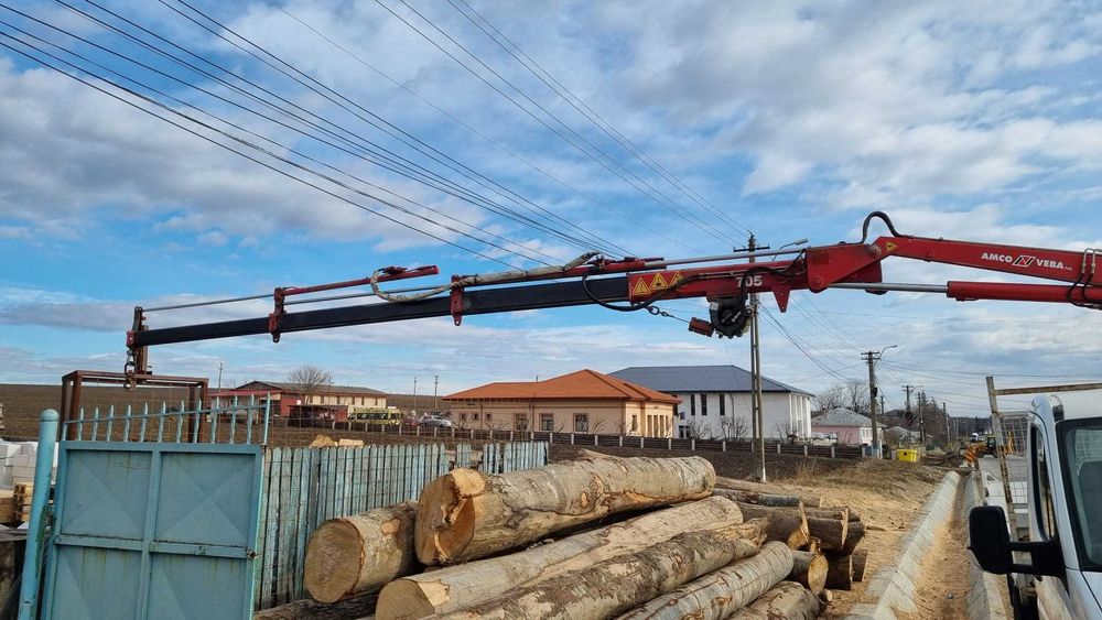 Toaletare copaci/tăiere/cosmetizare/transport basculabil/diverse lucra