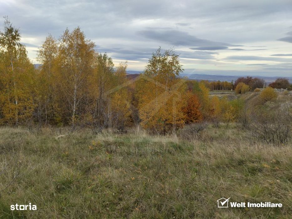 Teren intravilan – Salicea, 971 mp