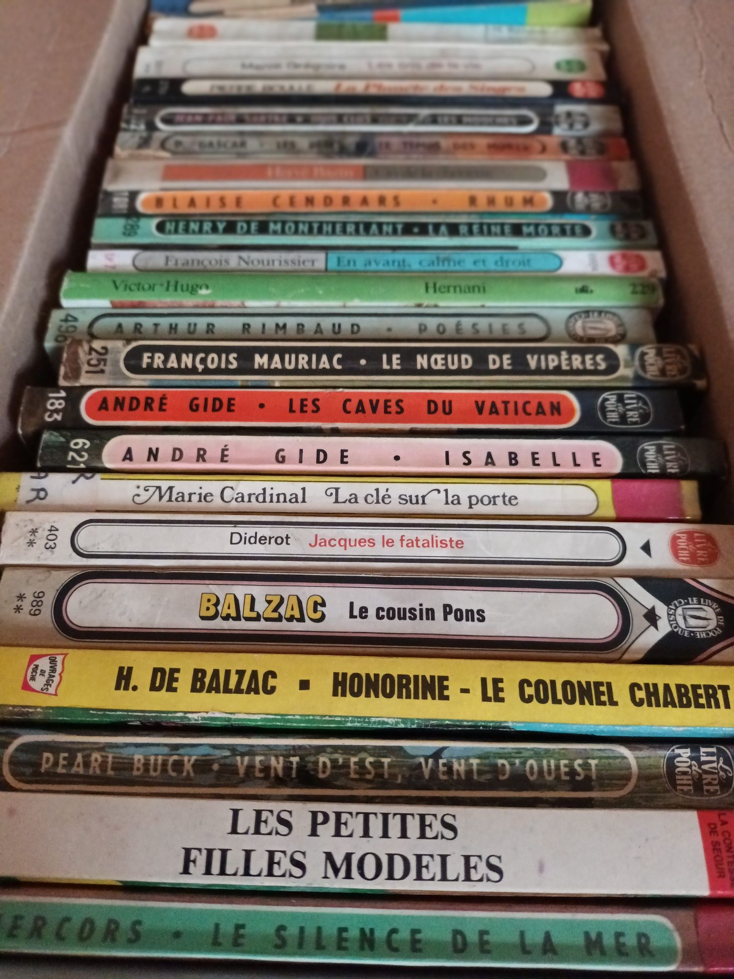 Cărți în limba franceză