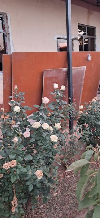 Assalomu alaekum Eshik,Rom,Dispi,Temir eshik manashular sotiladi