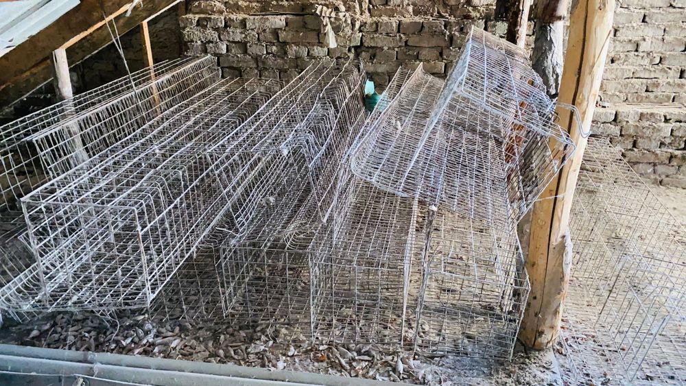 Товук кафас комплект