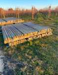 Stalpi (spalieri) beton pt gard  Italia