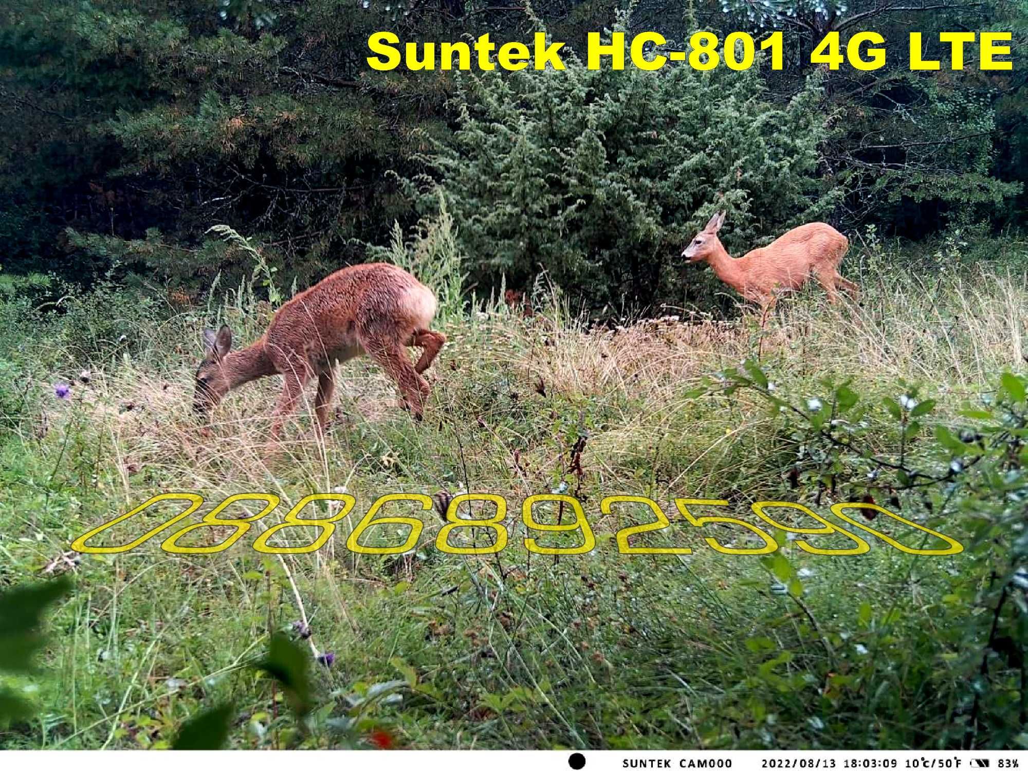 Ловна камера Suntek HC-801 2G/4G ,EMAIL нощно виждане, водоустойчива