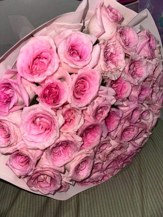 Розовые свежий розы