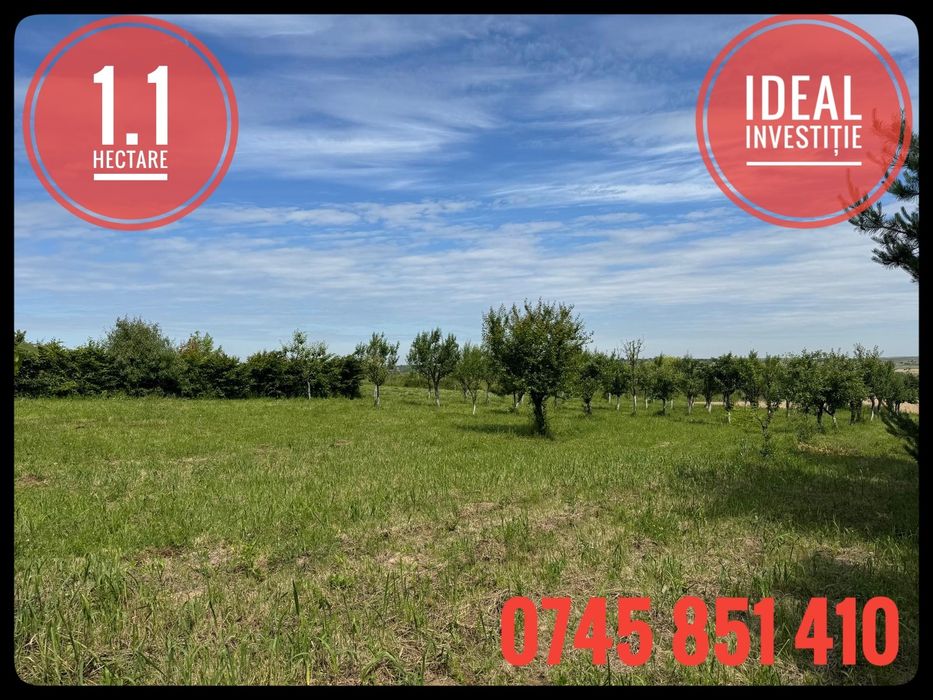Teren INTRAVILAN utilitati CF 1.1 Ha