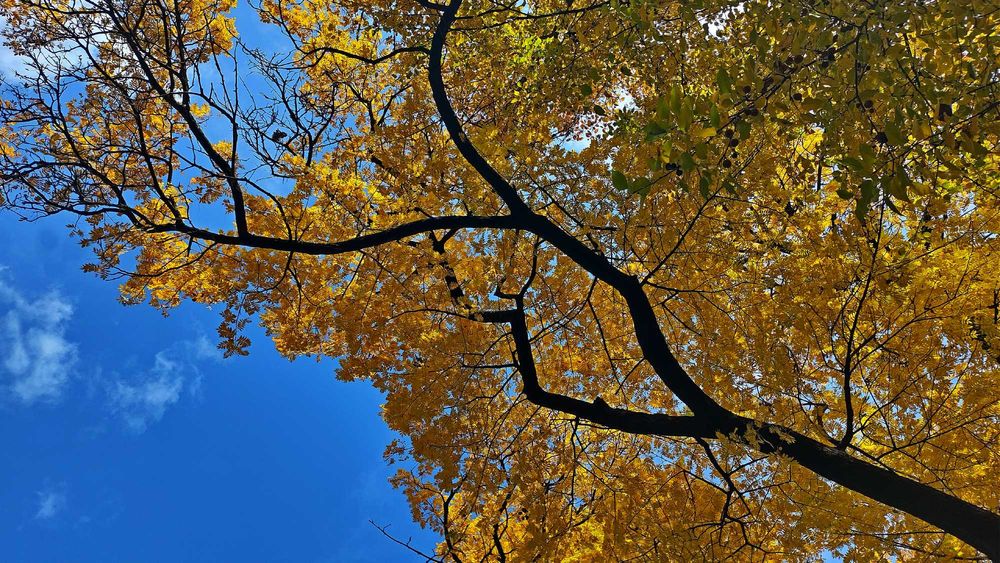 Motorola One Fusion Plus