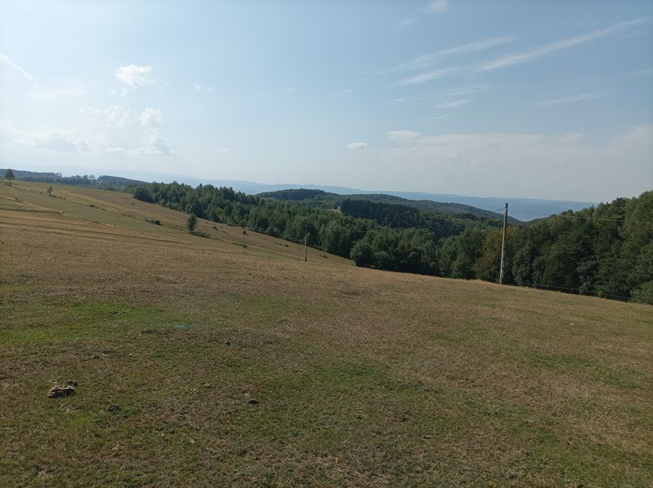 Vând 7500 mp teren in Șinteu
