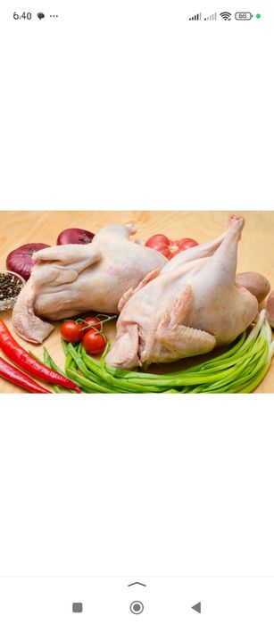 Мясо куриное  . .
