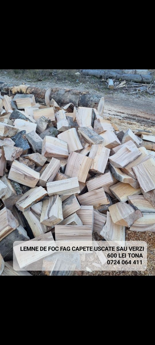 Lemn de foc esenta tare fag capete uscate sau verzi 600 lei tona