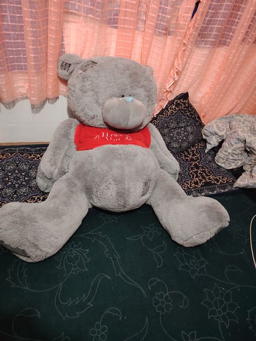 Katta ayiq teddiy