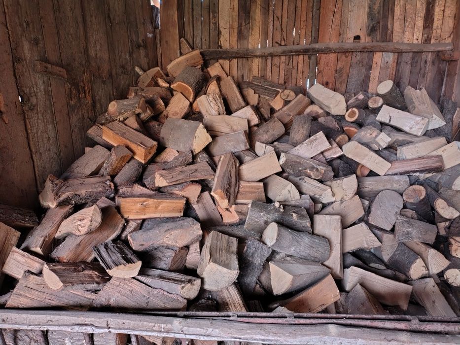 Disponibil lemn de foc uscat