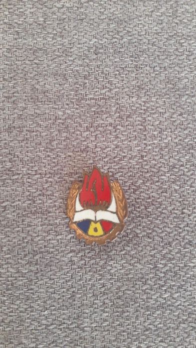 insigne diferite modele