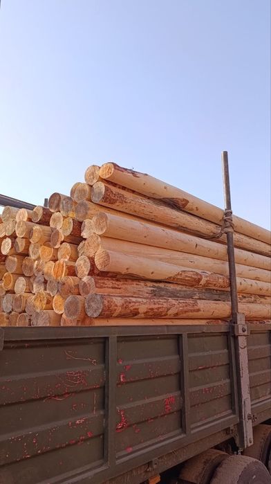 Оптом ва дона тахталарни арзон нархларда етказиб берамиз 12 вилоятга