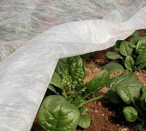 AGROSS – Agromaterial