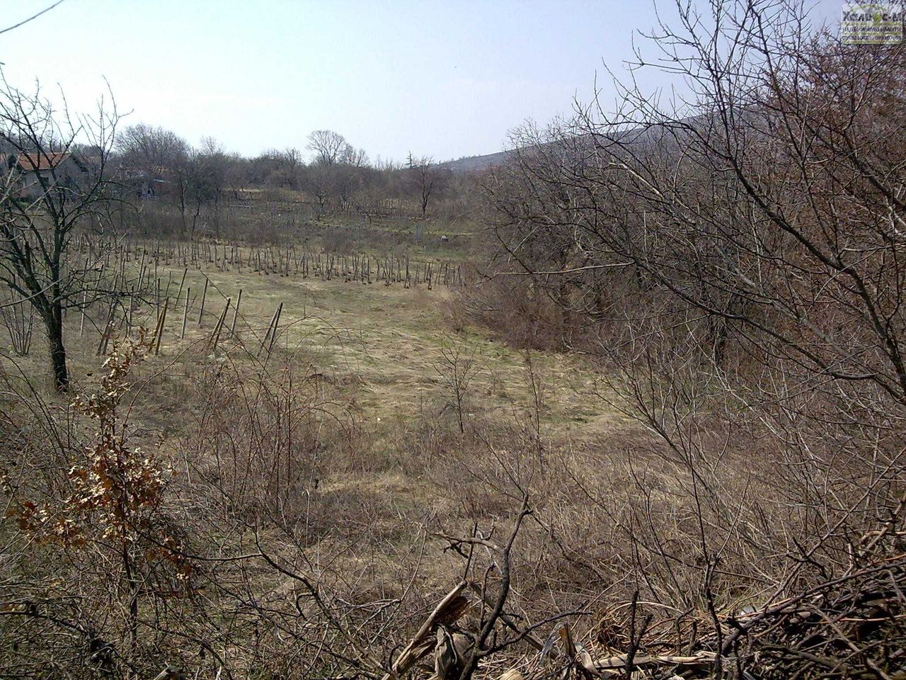 Продава се Парцел в Монтана, Парта 1 - 3720 кв.м за 6 €/кв.м - Снимка #2