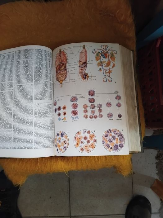 Енциклопедия издание на БАН