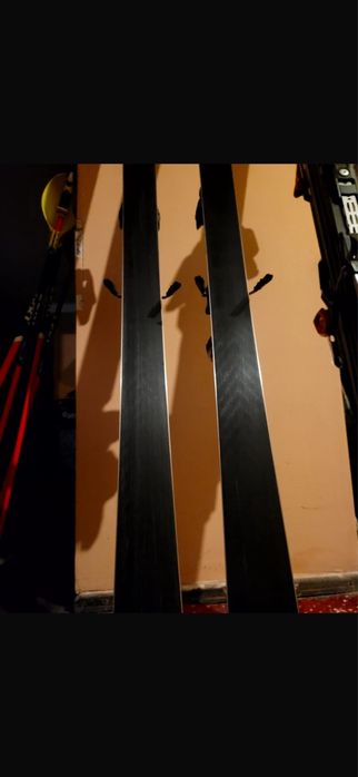 Vand schiuri volkl Racetiger Gs