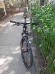 Bicicleta adulti