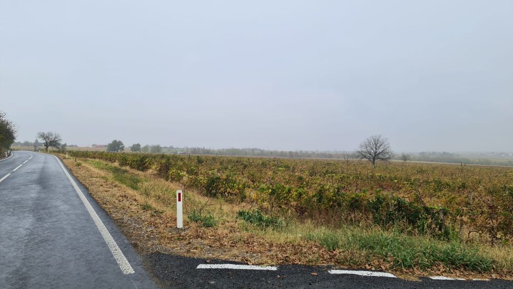 Vand vie in zona Carliglele/ Dalhauti