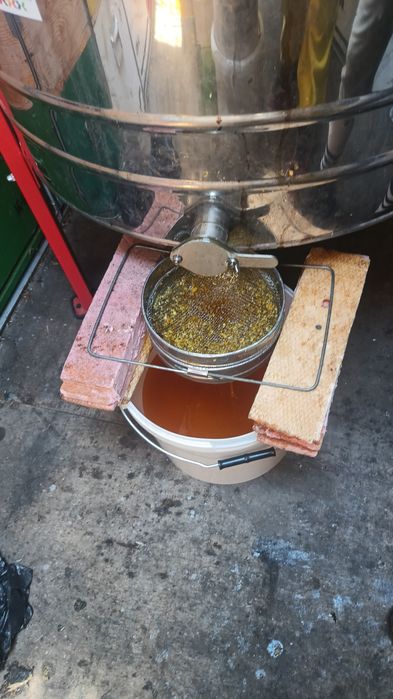 Miere de Albine Polifloră,