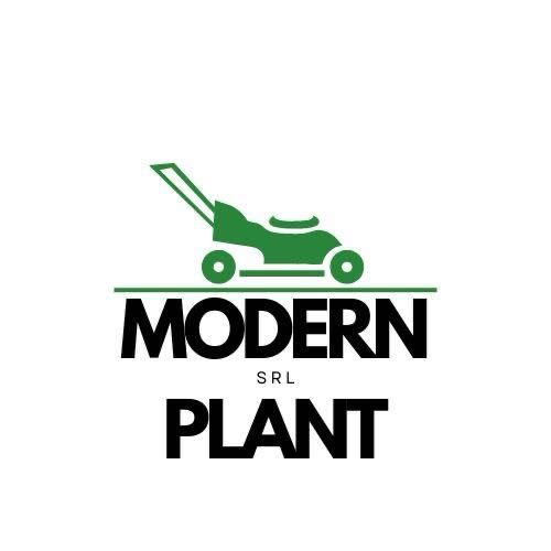 Lylandrii sănătoși, pregătiți pentru plantare imediată