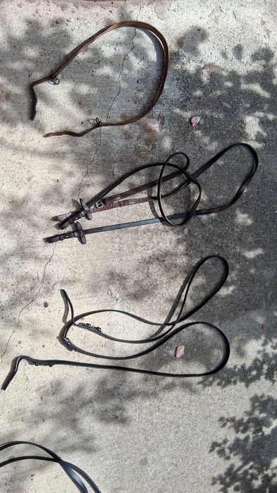 Frâu de echitație, dârlogi, pieptar