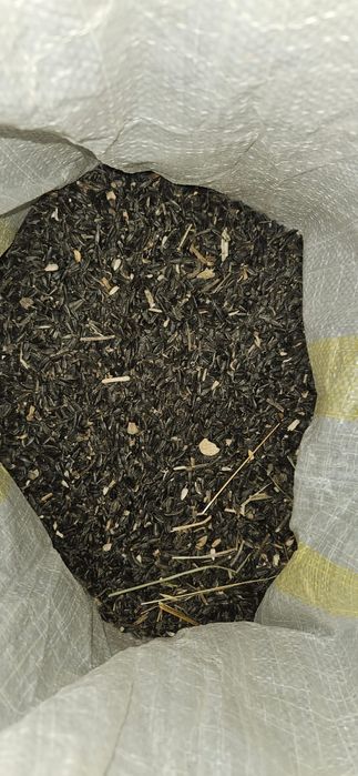 Vând floare de soare