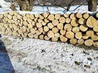 Vând lemn de fag an Rădăuți și an satele