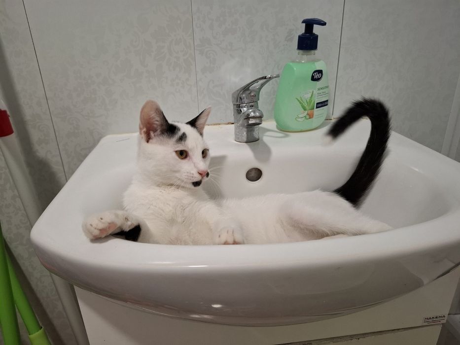 Майкъл търси своето семейство :)