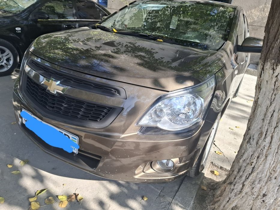 Продам коблт 2024 викубга бераман