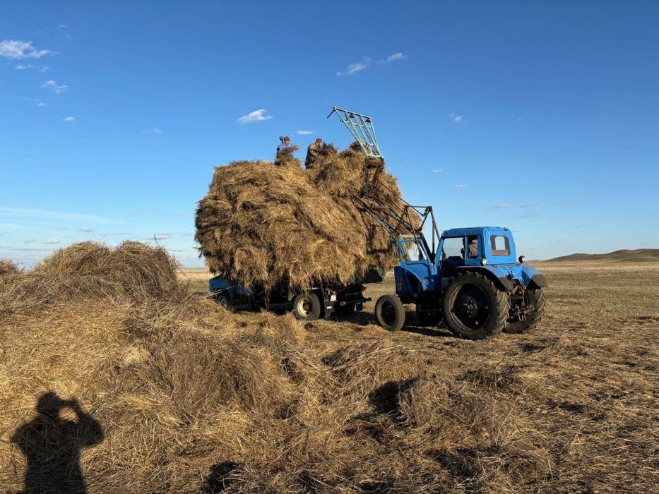 Продам трактор МТЗ-82