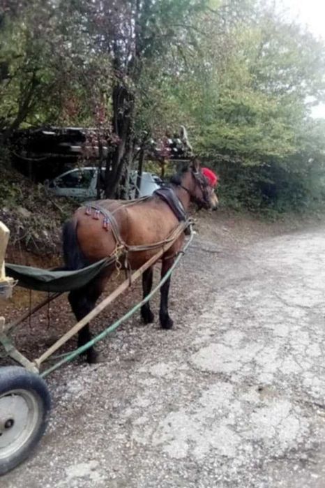 продавам си кончето