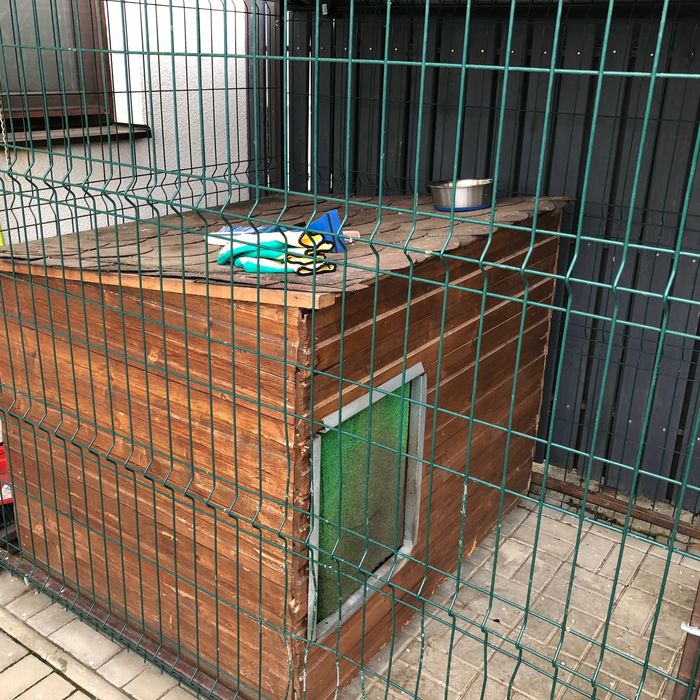 Vand padoc cu cadru din fier forjat