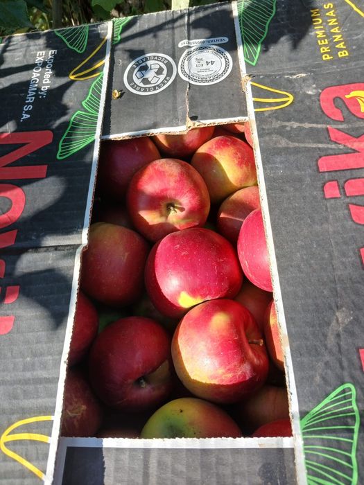 Mere en-gross de vanzare