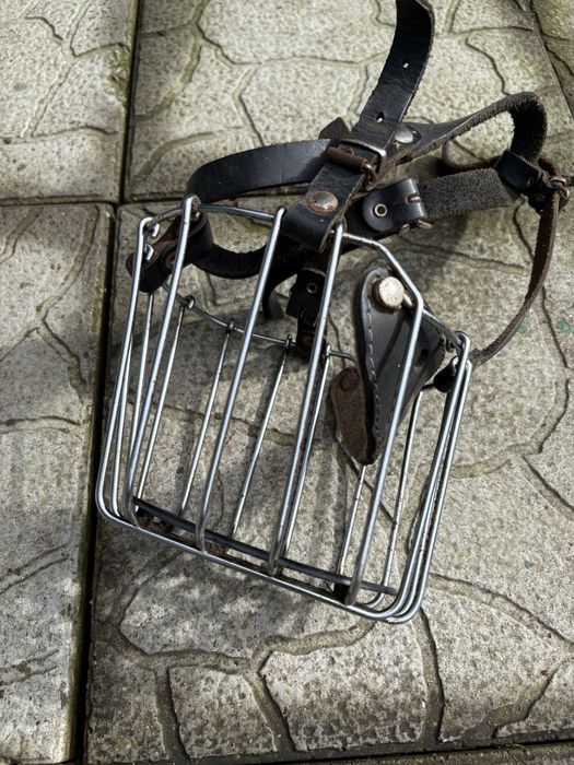 Vand Botnita pt Caine Stare Perfecta