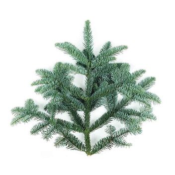 Crengi de brad nobilis