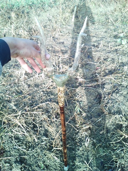 Baston ciomag bâtă toiag