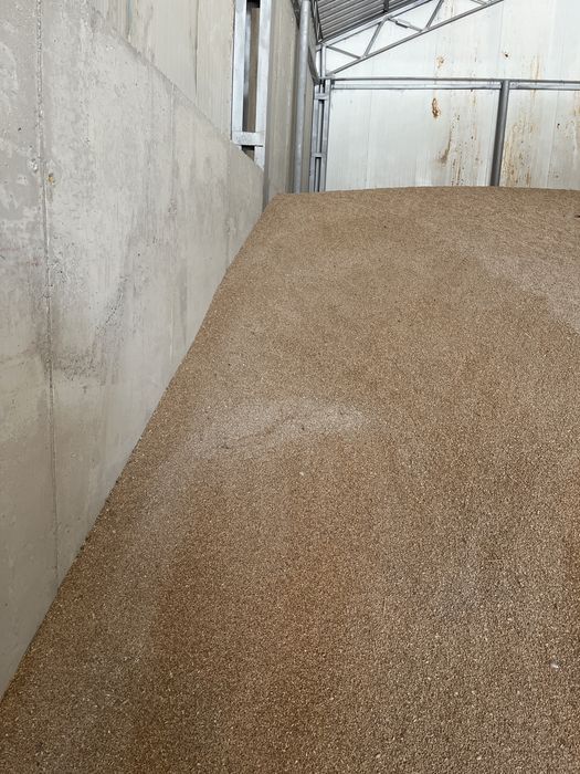 Vând grâu ambalat la sac