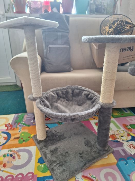 Котешка драскалка