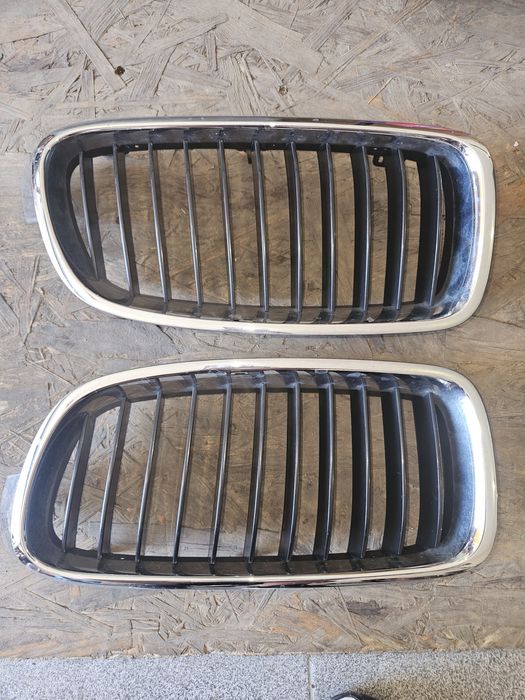 Бъбреци за БМВ Ф31