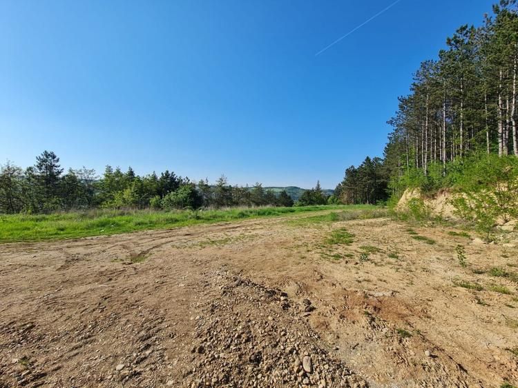 Teren intravilan de vanzare, zona Sf Ion, Parurea Faget