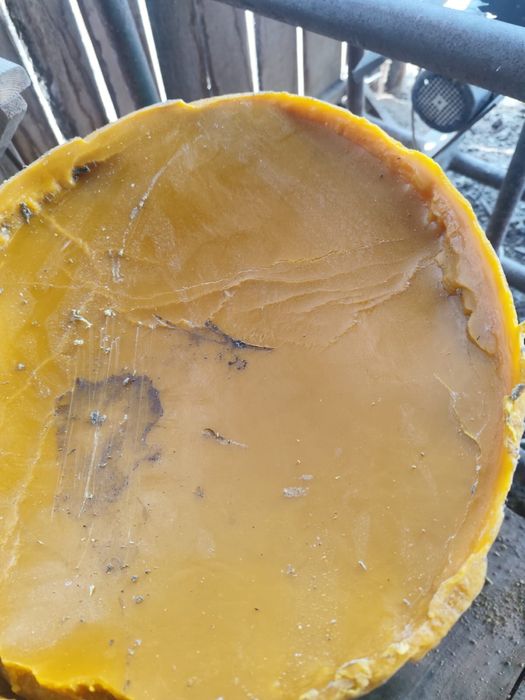 Vand ceara albina din  descapaceala