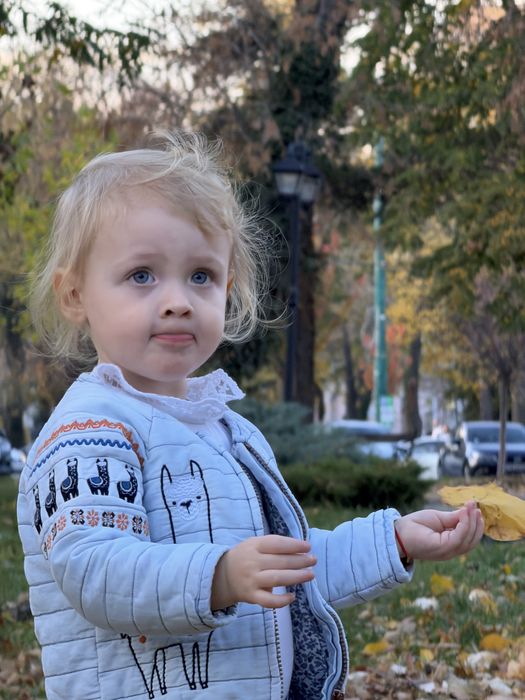 Aparat lapte Baby Brezza