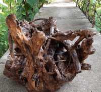 Декорация за градина-корен от дъб