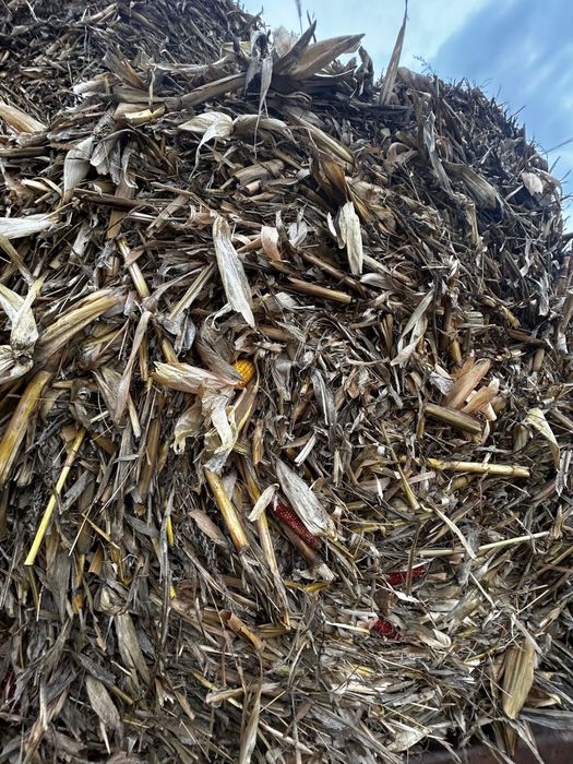 Baloti porumb,lucernă,paie